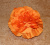 Детская шапка Бархатец